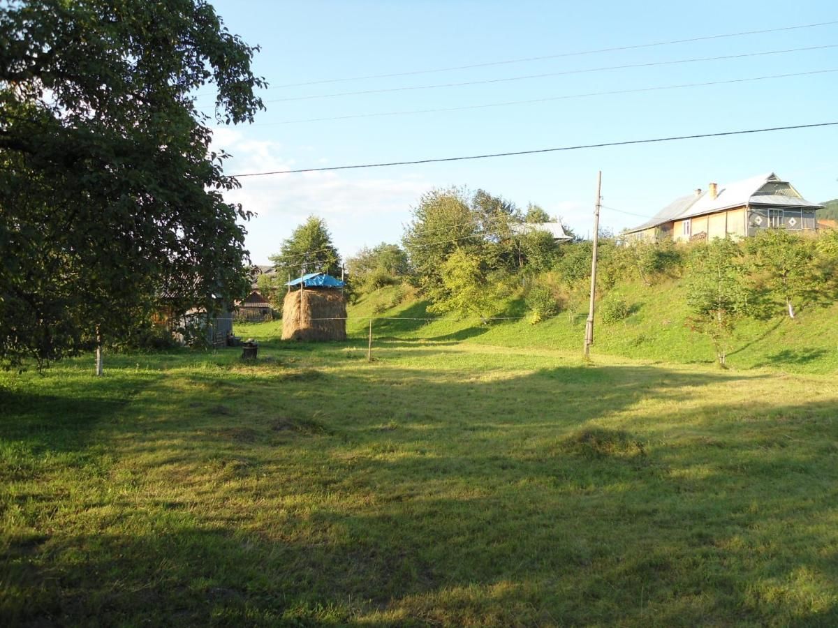 Гостевой дом Holiday home Lancedor Яремче-18