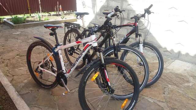 Гостевой дом Holiday home Lancedor Яремче-13