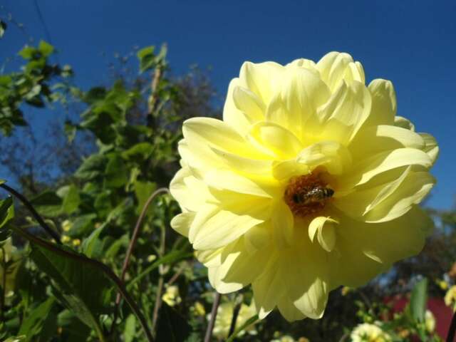 Гостевой дом Holiday home Lancedor Яремче-20