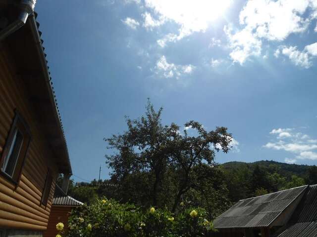 Гостевой дом Holiday home Lancedor Яремче-36