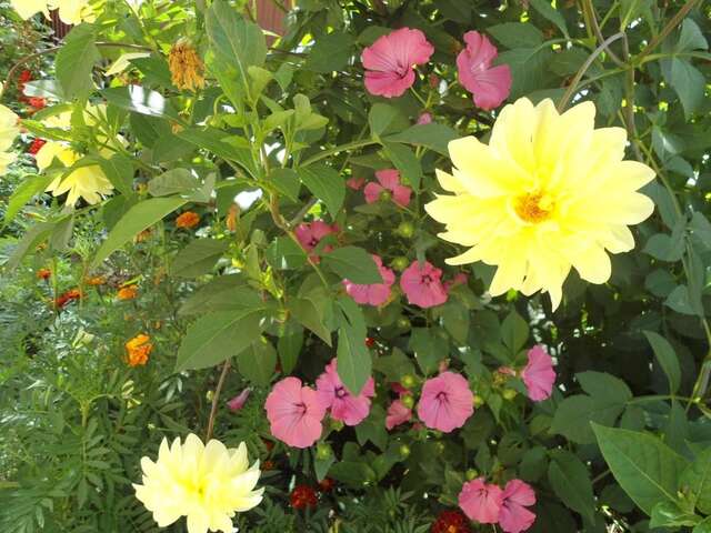 Гостевой дом Holiday home Lancedor Яремче-37